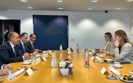 وزير الخارجية يشيد بالعلاقات مع الاتحاد الأوروبى منذ الارتقاء بها لمستوى الشراكة الاستراتيجية والشاملة