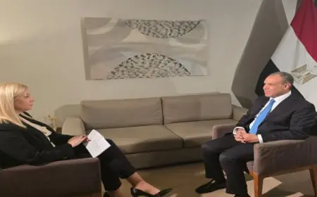 عبدالعاطى يستعرض الموقف المصرى إزاء القضايا الإقليمية والدولية فى حوار مع راديو وتلفزيون صربيا