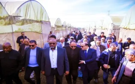 وزير الزراعة النيجيرى يتفقد بعض المشروعات الزراعية والبرامج البحثية بمحافظتي كفر الشيخ والغربية