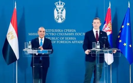 وزير الخارجية يؤكد أهمية زيادة الاستثمارات المتبادلة بين مصر وصربيا