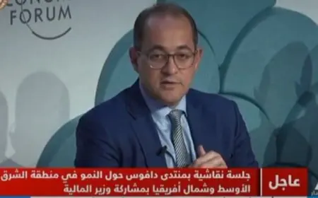وزير المالية: مصر تعتمد على اقتصاد متنوع.. ونتوقع انخفاض التضخم بحلول مارس المقبل