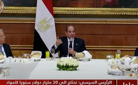 الرئيس السيسى: نحتاج 20 مليار دولار سنويا للمواد البترولية