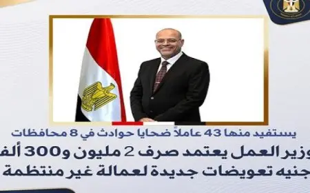 وزير العمل يعتمد صرف 2 مليون و300 ألف جنيه تعويضات جديدة لعمالة غير منتظمة