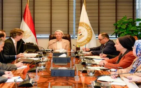 وزيرة البيئة تبحث مع البرنامج الأمم المتحدة الإنمائي التعاون الثنائي في تنفيذ المشروعات الاستراتيجية