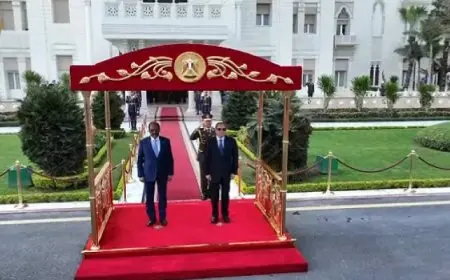 الرئيس السيسى يستقبل نظيره الصومالى ومراسم استقبال رسمية بقصر الاتحادية