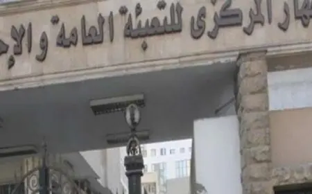 الإحصاء: 127.7 مليون دولار حجم التبادل التجارى بين مصر والصومال في 2024