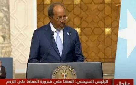 الرئيس الصومالى: علاقاتنا مع مصر عميقة على مدار التاريخ وتعتمد على الاحترام المتبادل