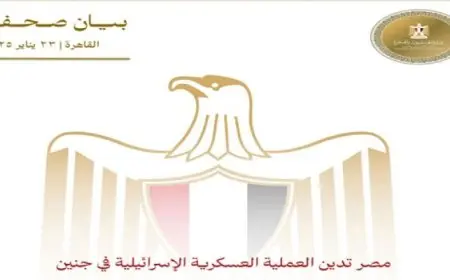 مصر تدين العملية العسكرية الإسرائيلية فى جنين