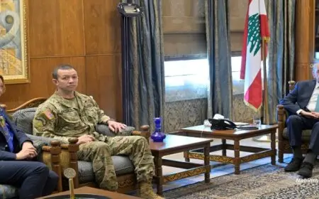 قبل 3 أيام من موعده المقرر.. رئيس مجلس النواب اللبنانى يبحث الانسحاب الإسرائيلى من الجنوب