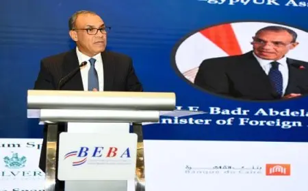 وزير الخارجية: العلاقات المصرية البريطانية هامة وأساسية لكلا البلدين