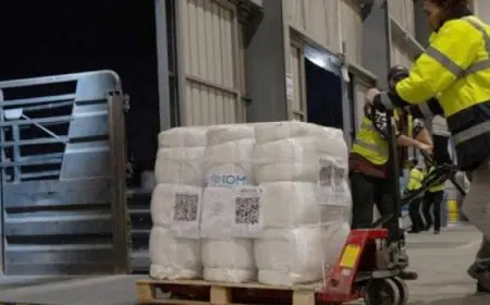 المنظمة الدولية للهجرة ترسل أول قافلة مساعدات إلى غزة منذ وقف إطلاق النار