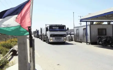 إدخال 300 شاحنة مساعدات لغزة عبر منفذي العوجة وكرم أبو سالم