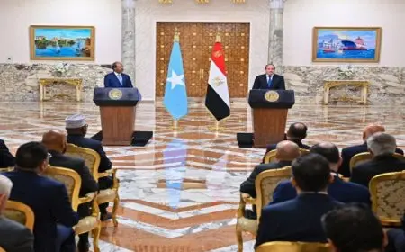 خلال مؤتمر صحفى مع نظيره الصومالى.. الرئيس السيسى: أمن واستقرار الصومال الشقيق جزء لا يتجزأ من أمننا القومي