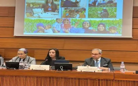 وزيرة التضامن: قانون الضمان الاجتماعى الجديد يشكل نقلة نوعية فى نظام الحماية الاجتماعية فى مصر