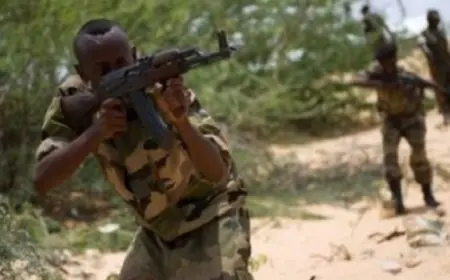 القوات الصومالية تقضى على عنصر من تنظيم داعش الإرهابى