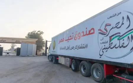 من الأسمرات إلى غزة.. صندوق تحيا مصر يطلق أكبر قافلة مساعدات للأشقاء الفلسطينيين