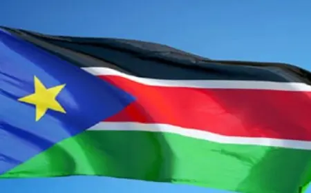 وفد رفيع المستوى من جنوب السودان يزور القاهرة