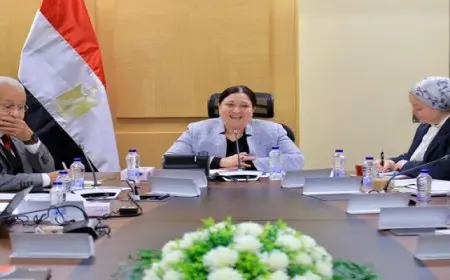 نائبة وزيرة التضامن الاجتماعى تلتقى بعثة هيئة التعاون الدولى اليابانية “جايكا”