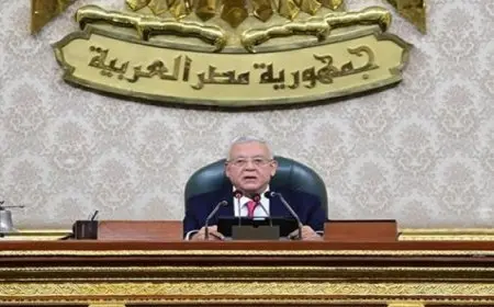 مجلس النواب يرفض بشكل قاطع أي ترتيبات أو محاولات لتغيير الواقع الجغرافى والسياسى للقضية الفلسطينية