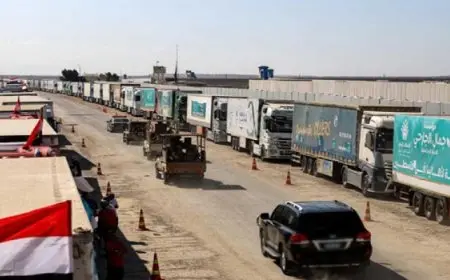 إدخال 155 شاحنة مساعدات إنسانية إلى قطاع غزة