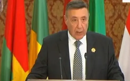 رئيس المحكمة الدستورية: المشاركة الإفريقية الواسعة باجتماع القاهرة يعكس صدق الغايات للتعاون المشترك