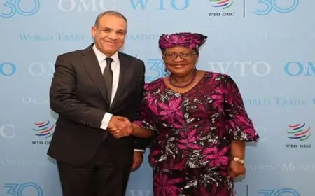 وزير الخارجية يؤكد دعم مصر لأهداف التجارة العالمية