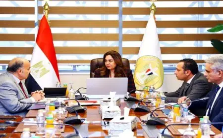 وزيرة التنمية المحلية تتابع جهود تحسين مستوى النظافة بالإسكندرية والقاهرة والقليوبية