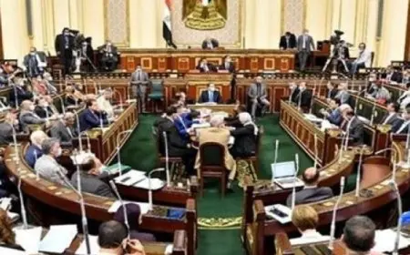 مجلس النواب يضع خطة عمل متكاملة لشرح موقف مصر الثابت تجاه القضية الفلسطينية