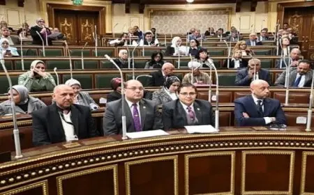 مجلس النواب يوافق على بروتوكول لتعديل الاتفاقية التمويلية الحكومية لمشروع محطة الضبعة النووية