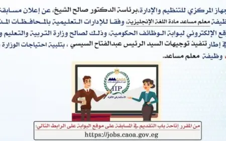 التنظيم والإدارة يعلن عن مسابقة لشغل 20 ألف وظيفة معلم مساعد مادة اللغة الانجليزية بوزارة التربية والتعليم