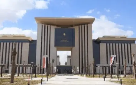 مصر تعرب عن قلقها إزاء التطورات فى شرق الكونغو الديمقراطية