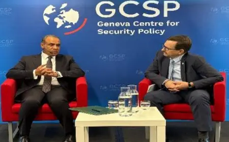 وزير الخارجية يؤكد ضرورة إقامة دولة فلسطينية على خطوط 1967 وعاصمتها القدس الشرقية