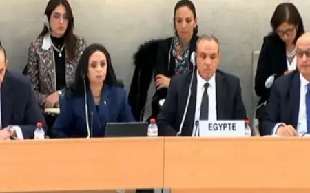 وزير الخارجية يترأس وفد مصر فى جلسة “الاستعراض الدورى الشامل لحقوق الإنسان فى مصر” بجنيف