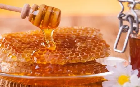 فوائد صحية لإضافة العسل إلى نظامك الغذائى فى الشتاء