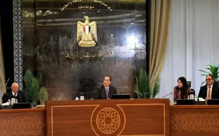 بال وال.. رئيس الوزراء: توجيهات من الرئيس السيسى بتوسيع قاعدة التشاور والاستفادة من جميع الخبرات الموجودة لدينا