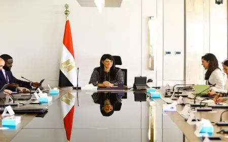 المشاط تستعرض تطورات الاقتصاد المصرى خلال لقاء وفد من المستثمرين وبنك جى بى مورجان تشيس الأمريكى