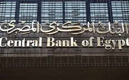 البنك المركزى : 26.3 مليار دولار حصيلة تحويلات المصريين بالخارج فى الفترة من يناير إلى نوفمبر 2024
