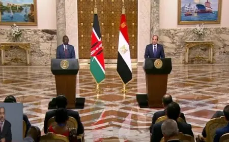 الرئيس الكينى يشيد بجهود الرئيس السيسى وقيادته الحكيمة للوضع في غزة وتعزيز استقرار المنطقة