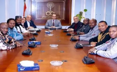 المسلمانى : ترجمة الليث بن سعد وأم كلثوم وليالى الحلمية إلى السواحيلية والهاوسا أكبر اللغات الأفريقية