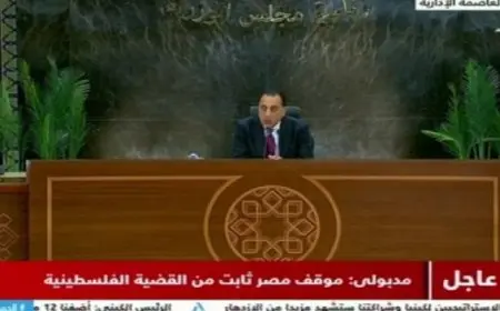رئيس الوزراء: موقف مصر ثابت من القضية الفلسطينية