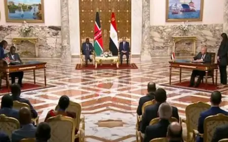 الرئيس السيسى ونظيره الكينى يشهدان توقيع على عدد من مذكرات التفاهم والتعاون بين البلدين