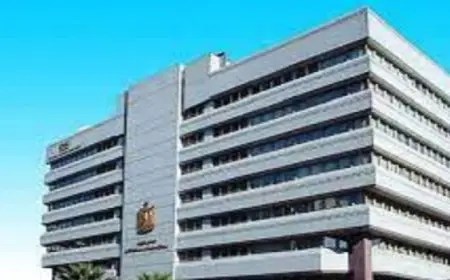 معلومات الوزراء : قيمة الاقتصاد الإبداعى قُدرت بنحو 985 مليار دولار عام 2023