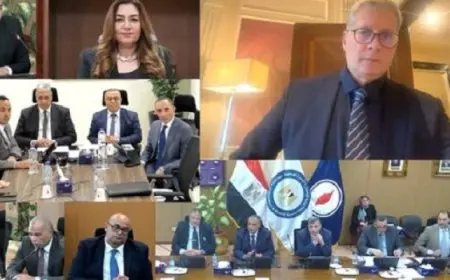 وزير البترول : كفاءة إستهلاك الطاقة تؤثر على الفاتورة الإستيرادية