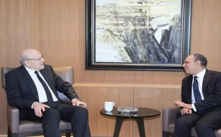 وزير الخارجية والهجرة يؤكد دعم مصر للبنان خلال لقاءه رئيس حكومة تسيير الأعمال