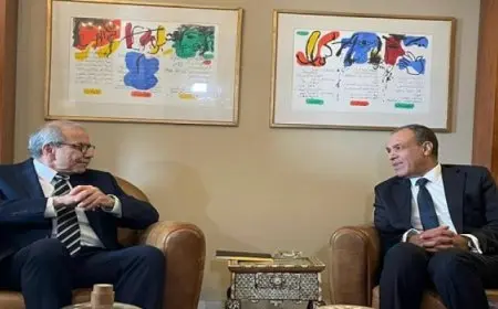 خلال زيارته لبيروت..عبد العاطي يلتقي برئيس الحكومة اللبنانية المكلف