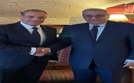 وزير الخارجية يعقد مباحثات فى بيروت مع نظيره اللبنانى