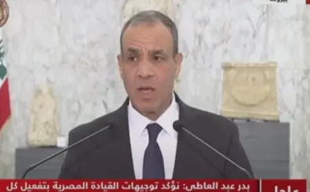 وزير الخارجية يؤكد تضامن مصر ودعمها الكامل للبنان فى هذه المرحلة العصيبة