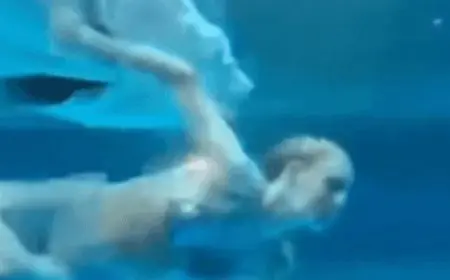 سمكة تهاجم حورية بحر خلال عرض مائى