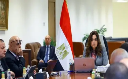 وزيرة التنمية المحلية تتابع القوافل الإنسانية لدعم الأشقاء الفلسطينيين بالتعاون مع صندوق تحيا مصر