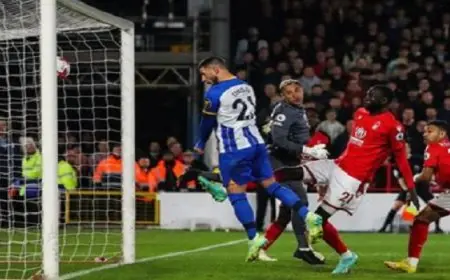 نوتنجهام فورست يكتسح برايتون 7- صفر بالدوري الإنجليزي الممتاز لكرة القدم